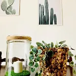 Hébergement de vacances Casa Nora *